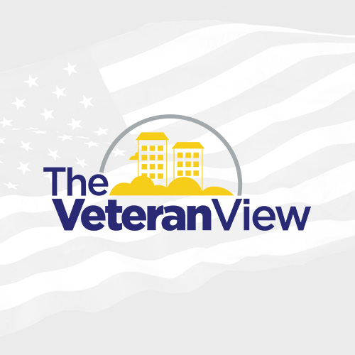 The Veteran View logo